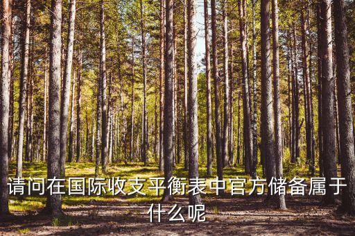 官方儲(chǔ)備資產(chǎn)包括什么，官方儲(chǔ)備資產(chǎn)包括固定資產(chǎn)嗎