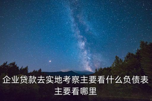 貸款實地考察做些什么，企業(yè)貸款去實地考察主要看什么負債表主要看哪里