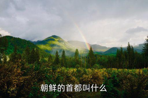 朝鮮總統(tǒng)府叫什么，朝鮮元首有專門的住所嗎有的話在哪