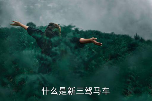 什么是新三駕馬車(chē)