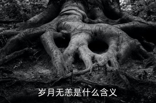 aapl是什么意思，PRQ是什么意思
