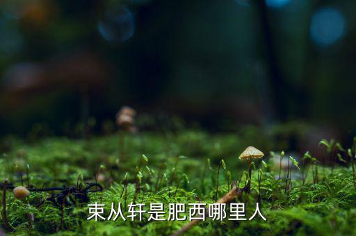 朱從玖肥西什么地方人，kimson肥西是哪里人