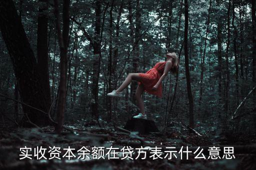 什么是資本余額，什么是資本性資金誰(shuí)知道請(qǐng)告訴我謝謝