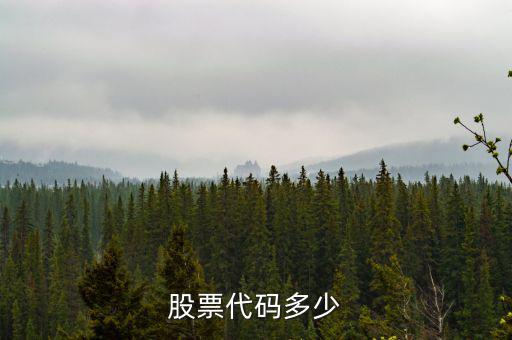 b股代碼以什么開頭，a股和b股代碼怎樣區(qū)分