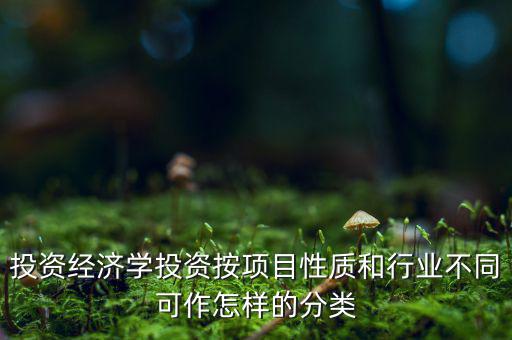 什么是公共消費(fèi)性投資，如何理解消費(fèi)投資