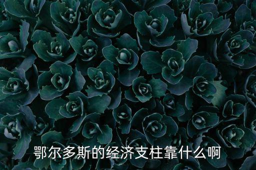 為什么鄂爾多斯經(jīng)濟發(fā)展，鄂爾多斯市是什么原因讓其發(fā)展如此迅猛