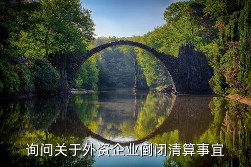 沈陽投資公司跑路市政府什么解決，詢問關(guān)于外資企業(yè)倒閉清算事宜