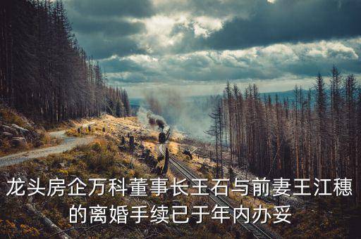 王石什么時(shí)候離婚的，龍頭房企萬科董事長王石與前妻王江穗的離婚手續(xù)已于年內(nèi)辦妥