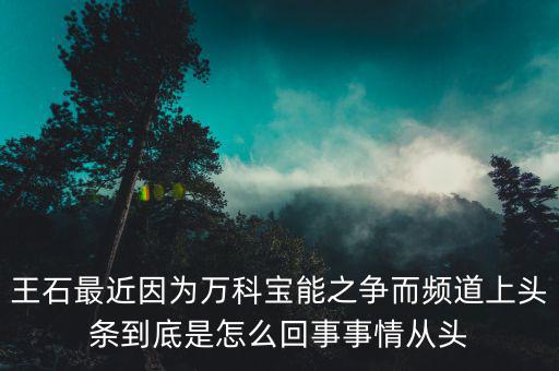 王石現(xiàn)在忙什么，王石現(xiàn)在在干什么