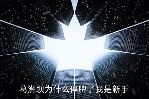 葛洲壩為什么停牌，葛洲壩為什么8月21日停牌
