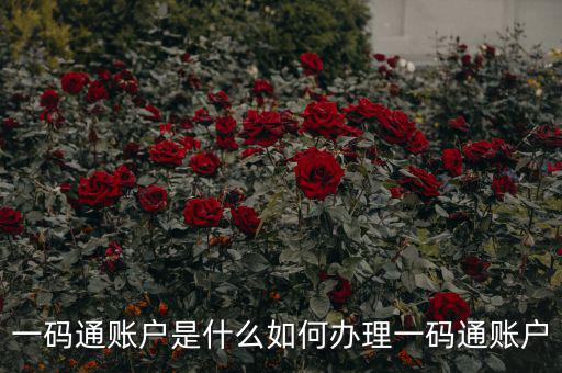 什么是一碼通賬戶，財達證券的一碼通賬戶是什么
