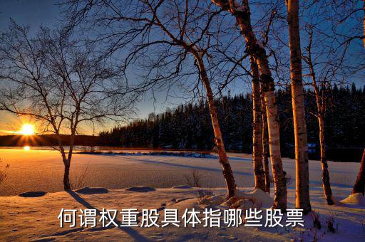 什么叫權重股，權重股與小盤股的區(qū)別在那兒我想數(shù)下有多少權重股有多少小盤股