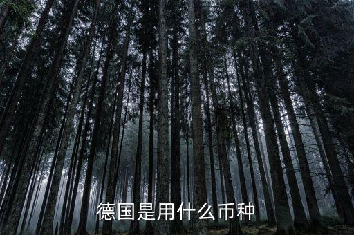 德國是什么貨幣，德國是用什么幣種