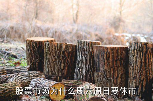 星期六為什么停牌，股票市場為什么周六周日要休市