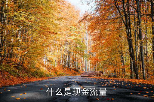 什么是現(xiàn)金流量，現(xiàn)金流量是指什么說得簡單一點謝謝