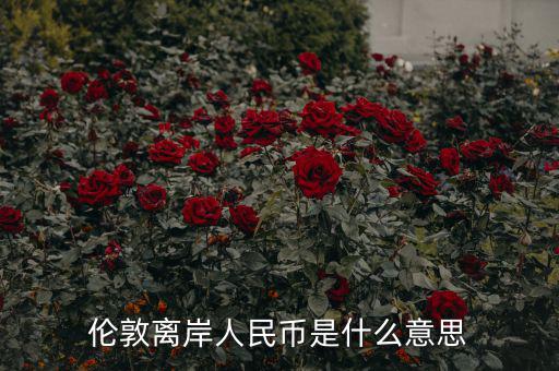 離岸人民幣是什么意思，在岸人民幣和離岸人民幣是什么意思
