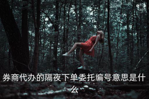 股票委托編號(hào)是什么意思，股票交易中委托編號(hào)208中208是什么意思