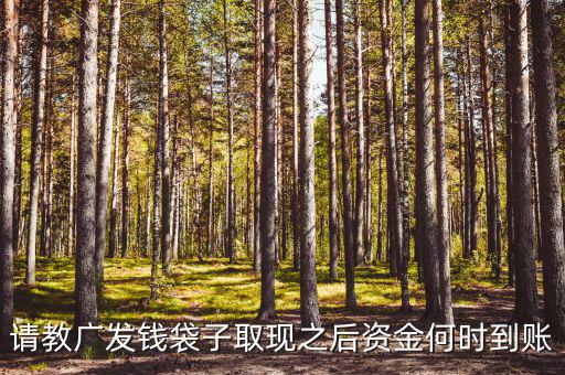 廣發(fā)錢袋子墊資什么時候，廣發(fā)錢袋子前天周末為什么沒有收益今天周一收益還沒出來