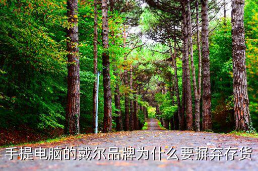戴爾用信息代替庫(kù)存的后果是什么，我的筆記本電腦是DELL的前幾天買(mǎi)的人家二手貨他把系統(tǒng)的信