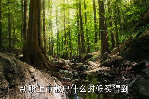 散戶什么時候才能買到新股，新股上市散戶什么時候買得到