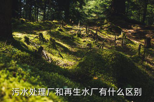 什么是再生水廠，污水處理廠和再生水廠有什么區(qū)別