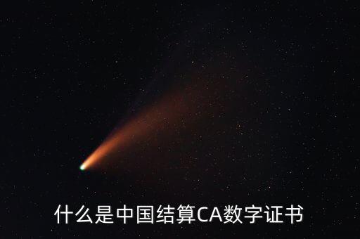 什么是中國(guó)結(jié)算CA數(shù)字證書