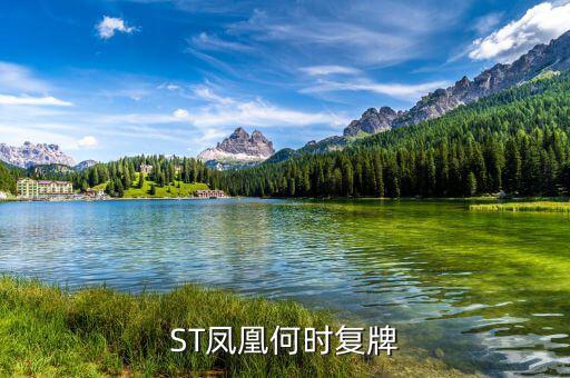st鳳凰什么時候復(fù)牌，長航鳳凰2013年七月一日怎么停牌了啊