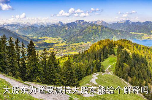 金鉬股份大股東為什么要減持，大股東為什么減持股票