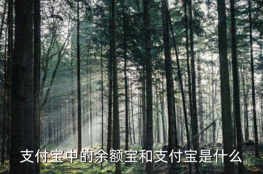 余額寶和支付寶是什么意思，支付寶里的余額寶是什么意思