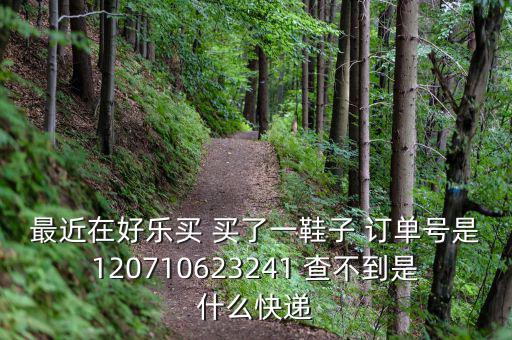 好樂買發(fā)什么快遞，我在好樂買用網(wǎng)銀付款買了雙鞋子請問他們都用什么快遞發(fā)貨