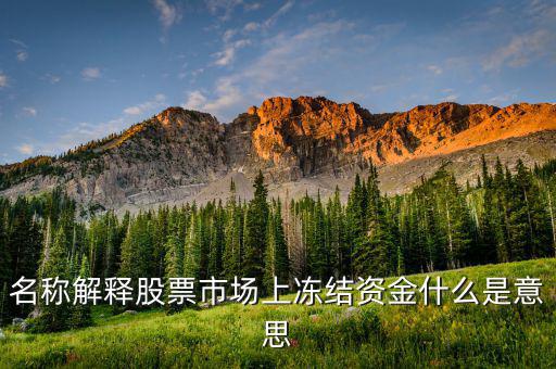 股票交易資金凍結(jié)什么意思，名稱解釋股票市場(chǎng)上凍結(jié)資金什么是意思