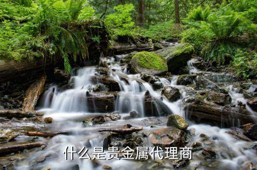 貴金屬做渠道是什么意思，什么是貴金屬延期交易渠道