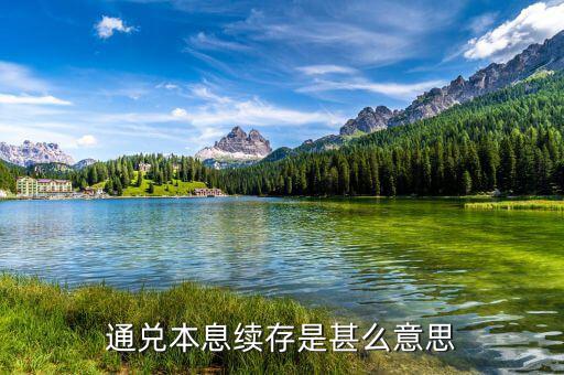 銀行續(xù)存是什么意思，存折里面續(xù)存是什么意思自動轉(zhuǎn)存嗎