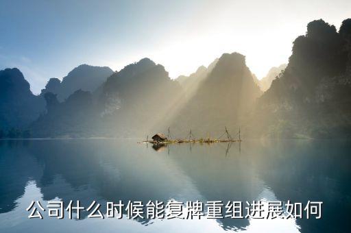 宏達(dá)礦業(yè)什么時(shí)候重組，新國(guó)線公司好嗎