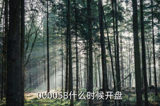 000058什么時(shí)候開(kāi)盤