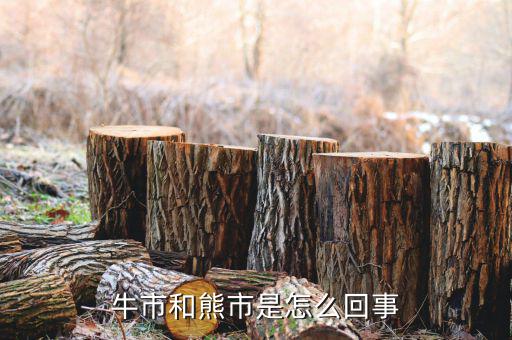 什么是熊市，人們?nèi)粘Ｕ務(wù)摴墒行星闀r(shí)常提及牛市熊市其中牛市指