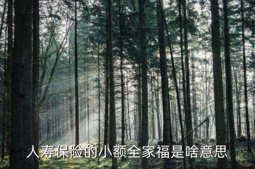 人壽全家福是什么意思，人壽保險的小額全家福是啥意思
