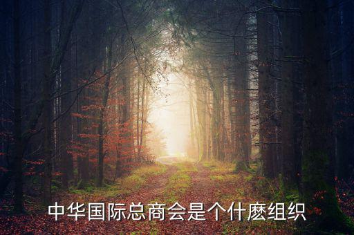 中華國(guó)際總商會(huì)是個(gè)什麼組織