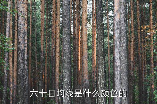 60日均線是什么顏色，5日10日60日線是什么怎么看是什么顏色