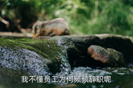為什么袁伯銀頻繁跳槽，我不懂員工為何頻頻辭職呢