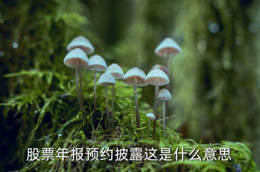 股票披露是什么意思，股票年報預約披露這是什么意思