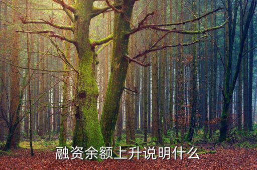 濰柴融資額度很高說明什么，融資余額上升說明什么