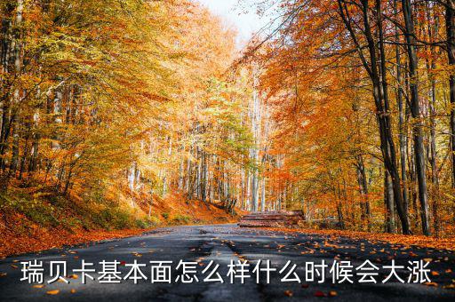 瑞貝卡基本面怎么樣什么時(shí)候會(huì)大漲