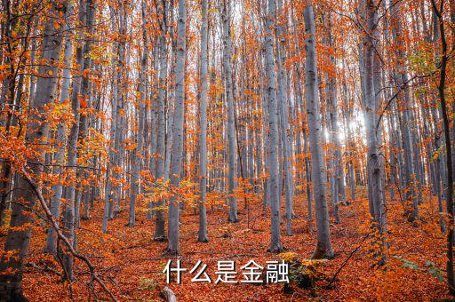 金融是什么，什么是金融