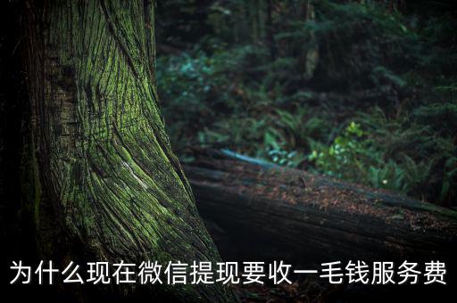 微信提現(xiàn)為什么要收費，為什么現(xiàn)在微信提現(xiàn)要收一毛錢服務費