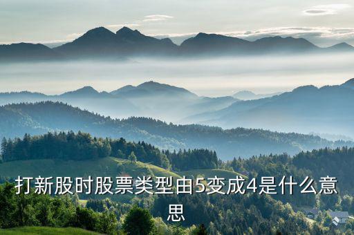股票類型4是什么意思，打新股時(shí)股票類型由5變成4是什么意思