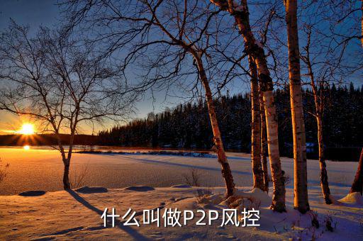 什么是風控機制，白條風控是什么意思