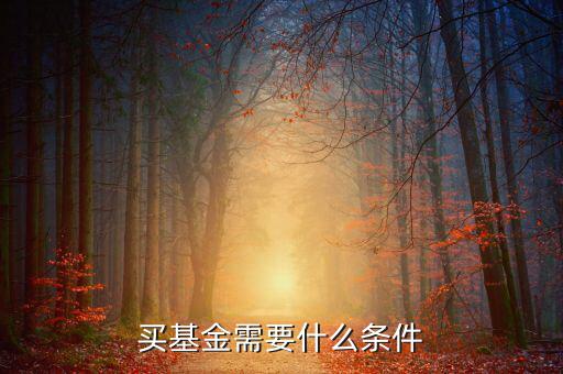買(mǎi)基金有什么條件，買(mǎi)基金都需要什么條件啊