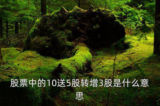 10轉5派3是什么意思，10送3派05是什么意思