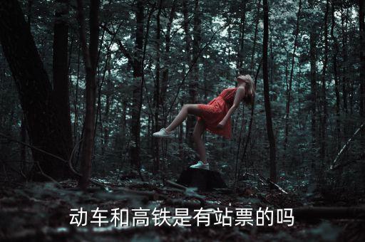 為什么高鐵沒有站票，為什么高鐵沒有站票